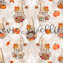 Load image into Gallery viewer, Fall Gnomes- Multiple Colors