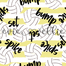 Load image into Gallery viewer, Volleyball- Multiple Colors