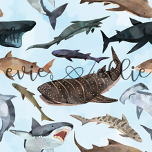 Load image into Gallery viewer, Sharks - Multiple Colors