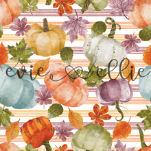 Load image into Gallery viewer, Pumpkins - Multiple Colors