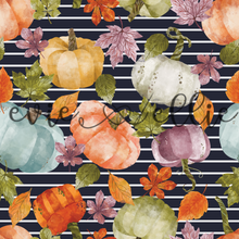 Load image into Gallery viewer, Pumpkins - Multiple Colors