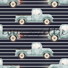 Load image into Gallery viewer, Trucks - Multiple Colors