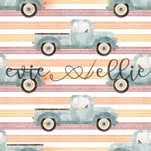 Load image into Gallery viewer, Trucks - Multiple Colors