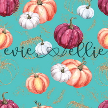 Load image into Gallery viewer, Pumpkins-- Multiple Colors
