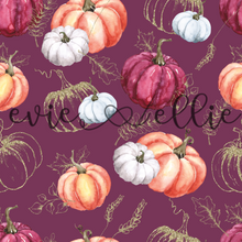 Load image into Gallery viewer, Pumpkins-- Multiple Colors