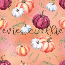 Load image into Gallery viewer, Pumpkins-- Multiple Colors