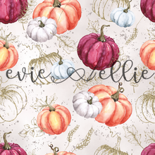 Load image into Gallery viewer, Pumpkins-- Multiple Colors